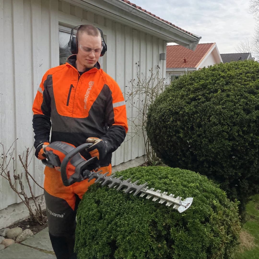 Årsklippning av häck - abonnemang Professionell häckklippning på abonnemang